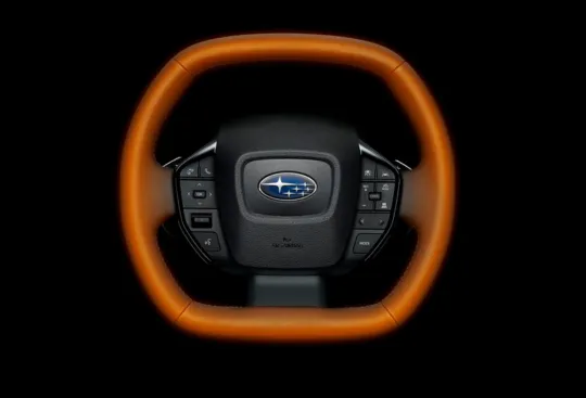 E-OUTBACK - Grijani volan